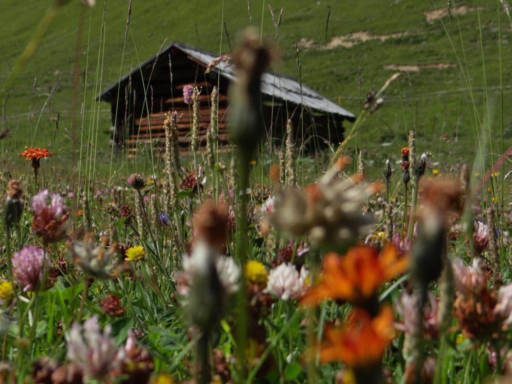 Hotel Silvretta Serfaus Eksteriør billede