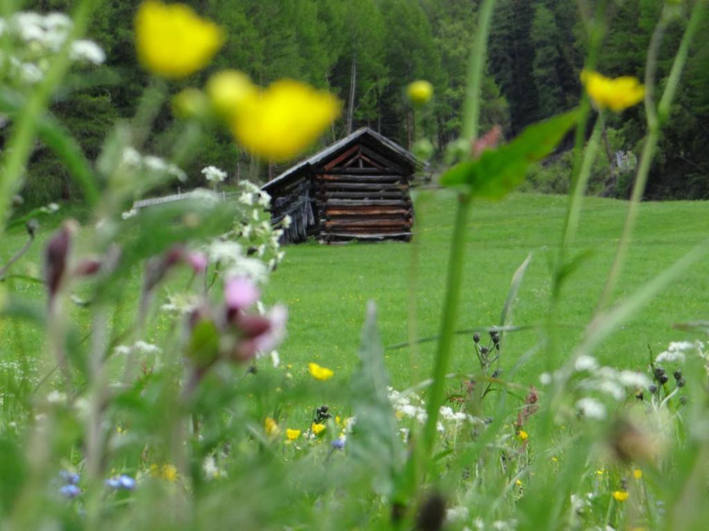 Hotel Silvretta Serfaus Eksteriør billede